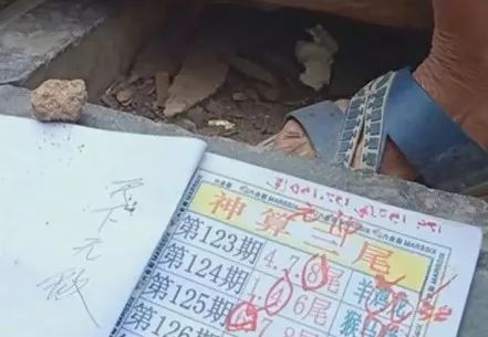 香港中特期期準資料，深度解析與探索，香港中特期期準資料深度解析與探索報告