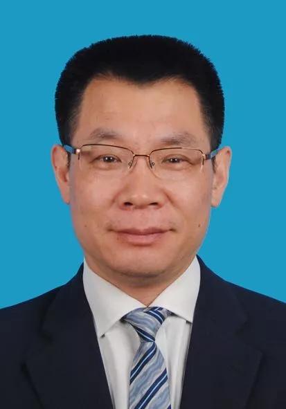 2024新奧正版資料免費(fèi)獲取指南，2024新奧正版資料免費(fèi)獲取攻略