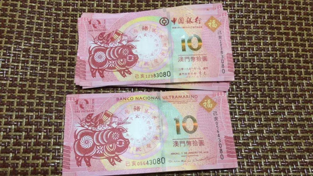 新澳門生肖走勢圖，深度解析與預(yù)測，澳門生肖走勢圖深度解析及預(yù)測報告