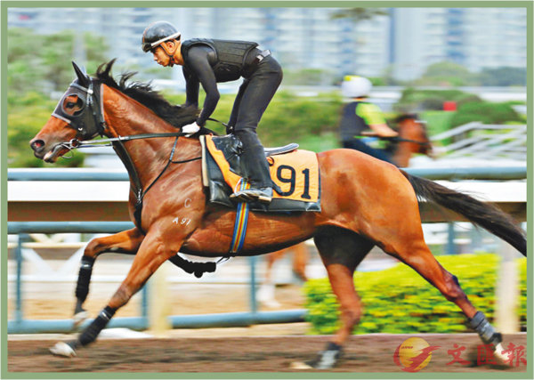 香港賽馬，探索數(shù)字背后的激情與榮耀，香港賽馬，數(shù)字背后的激情與榮耀之旅