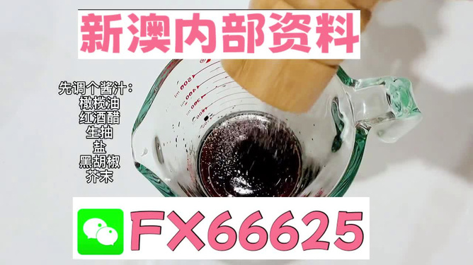 2025年新澳正版免費料，全面解析與獨家資訊，獨家解析，揭秘新澳正版免費料獨家資訊至2025年