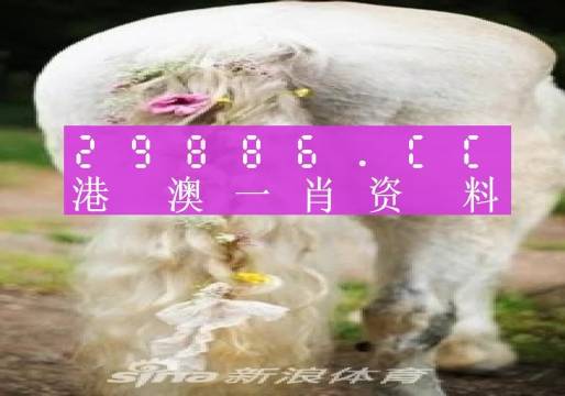澳門羊了個羊與各大圖庫的資料揭秘，2023年澳門今晚必中一肖一碼永久免費(fèi)資料庫大解密，澳門羊了個羊與資料庫揭秘，2023年必中一肖一碼永久免費(fèi)資料大解密