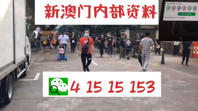 澳門管家婆，揭秘一種獨(dú)特的文化現(xiàn)象與娛樂(lè)體驗(yàn)，澳門管家婆，文化現(xiàn)象與娛樂(lè)體驗(yàn)的揭秘