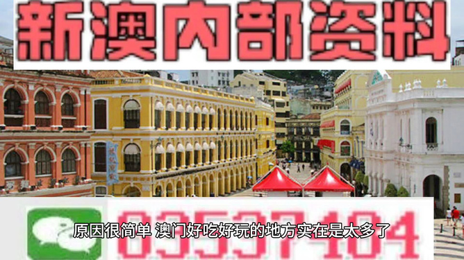 澳門精準(zhǔn)資料大全免費(fèi)，探索與解析，澳門精準(zhǔn)資料大全免費(fèi)解析探索