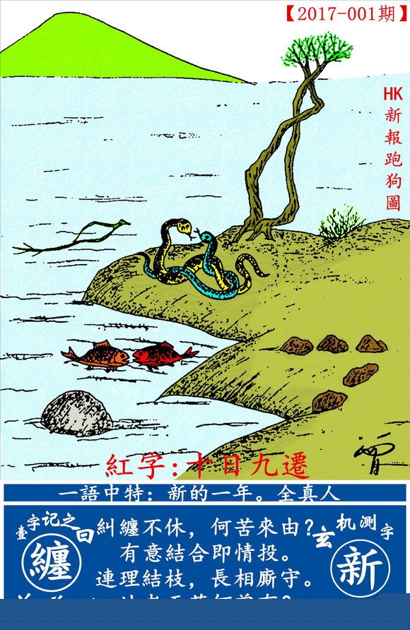 探索全新版跑狗圖，7777788888的魅力與策略，探索全新版跑狗圖，7777788888的魅力與攻略解析