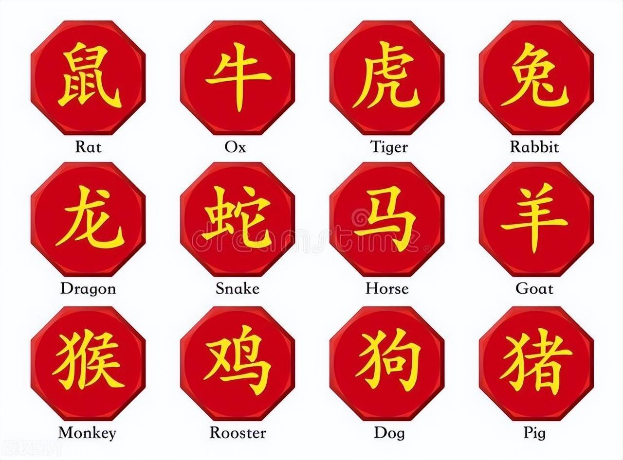 新澳特碼，羊?；⒏鲾?shù)10——揭秘背后的數(shù)字奧秘，揭秘新澳特碼數(shù)字奧秘，羊牛虎各數(shù)背后的秘密