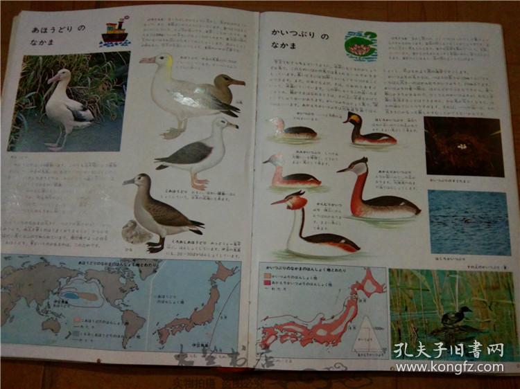 今日正版跑狗圖分享，探索7777788888跑狗圖的魅力，今日正版跑狗圖分享，探索魅力十足的777778跑狗圖