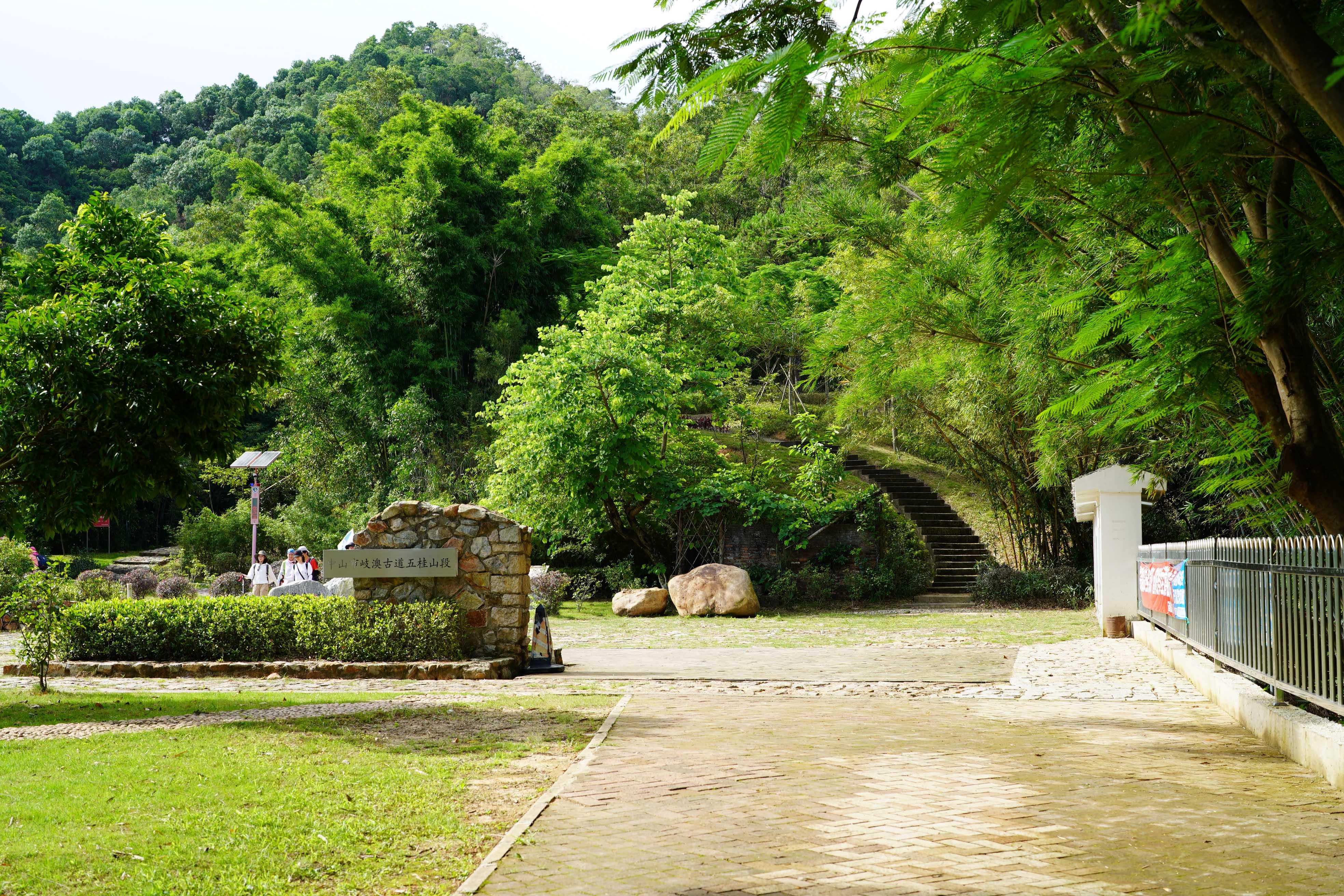 新澳門2025生肖走勢(shì)圖概覽與預(yù)測(cè)，澳門生肖走勢(shì)圖概覽與預(yù)測(cè)，揭秘未來(lái)生肖運(yùn)勢(shì)走向（至2025年）