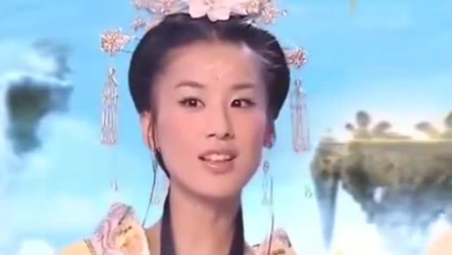 曾道道人資料免費(fèi)大全，深度探索與解析，曾道道人資料深度解析與免費(fèi)大全探索