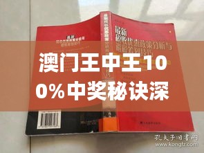 新澳門王中王期期中，探索與解析，新澳門王中王期期中，深度探索與解析