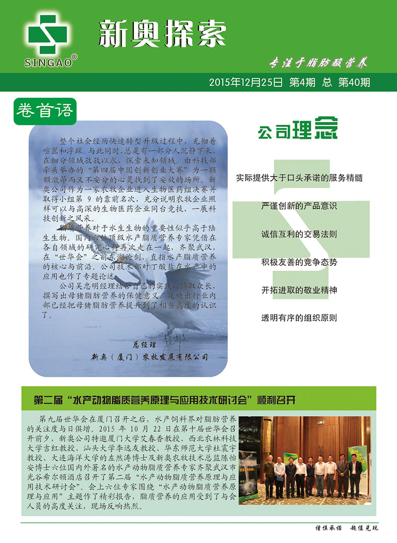 2025新澳正版資料查詢指南，2025新澳正版資料查詢手冊