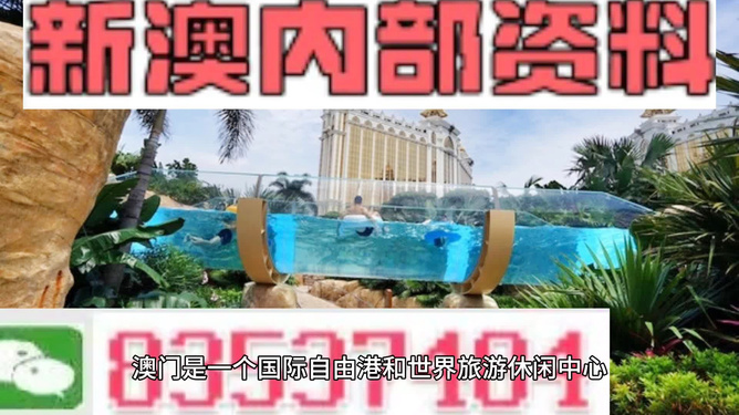 新澳的資料去哪里找——全面指南，新澳資料全攻略，尋找資料的途徑與指南