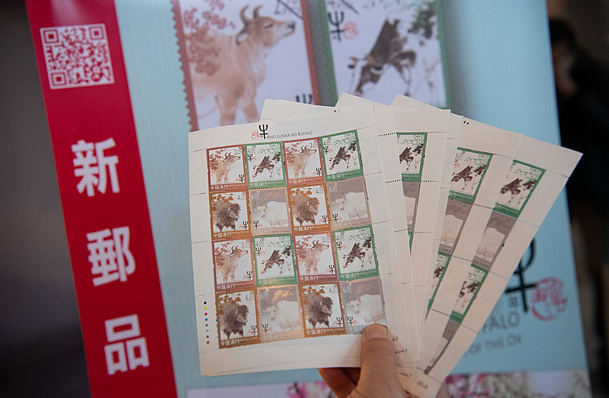 澳門值日生肖600圖庫與八百圖庫開獎，探索生肖圖庫的魅力與奧秘，澳門生肖圖庫開獎揭秘，探索值日生肖600圖庫與八百圖庫的魅力與奧秘