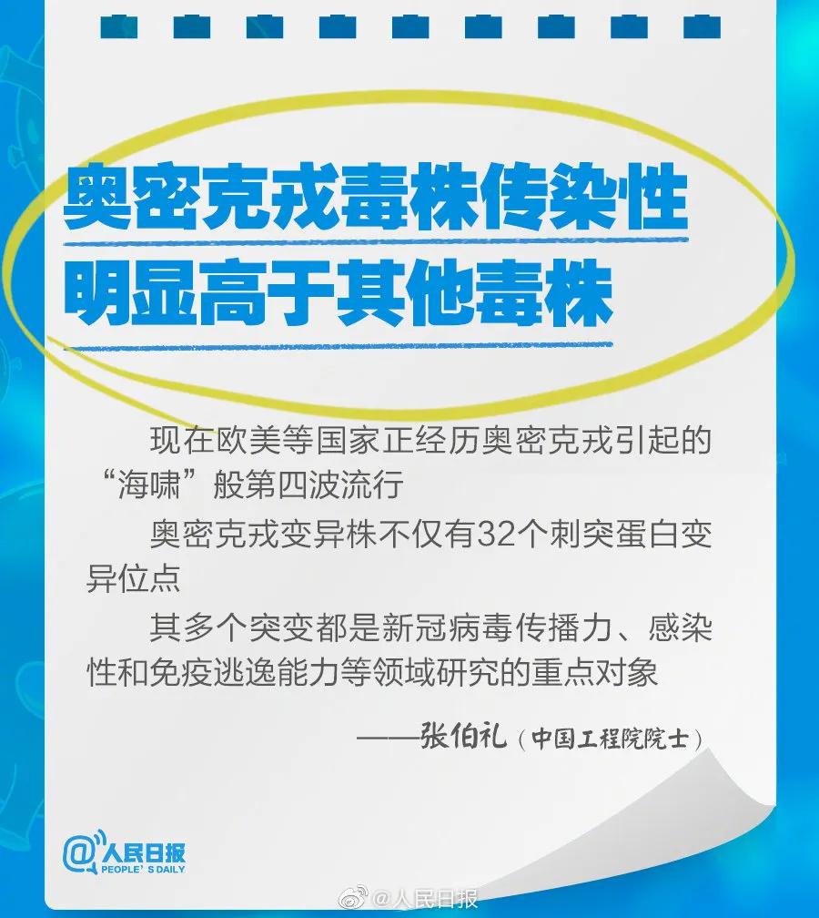新奧2025最新資料大全，準確資料全面解析，新奧2025最新資料大全，全面解析準確資料一網(wǎng)打盡