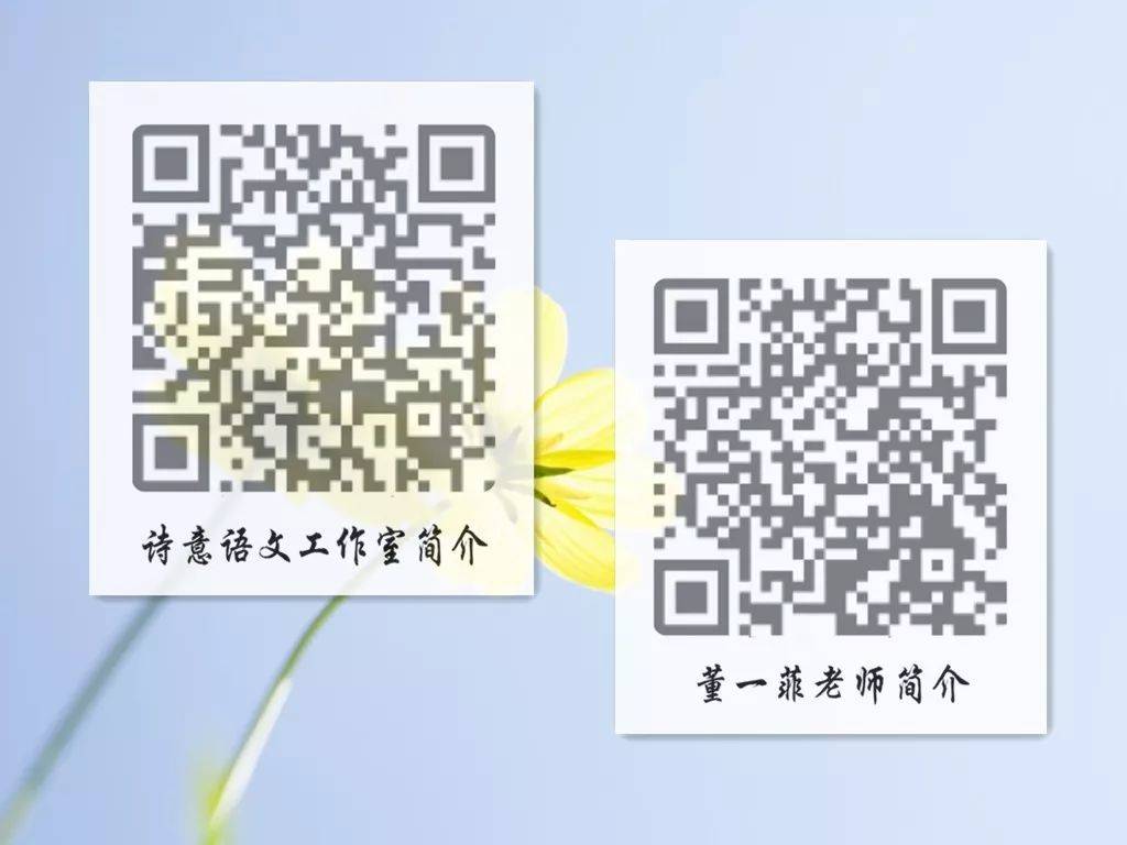 一碼一肖一特一，揭秘背后的秘密與獨特之處，揭秘一碼一肖一特一的獨特之處與背后秘密