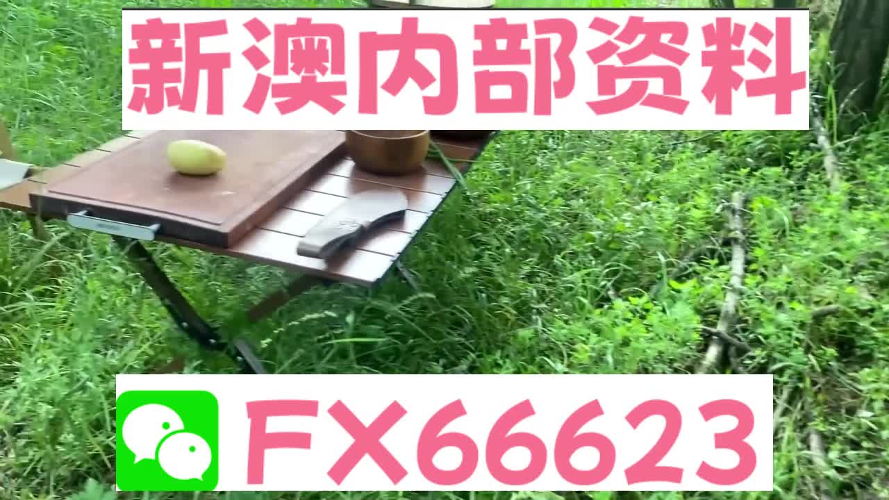 新奧特碼走勢圖解析與預測，新奧特碼走勢圖解析與預測，未來趨勢探討