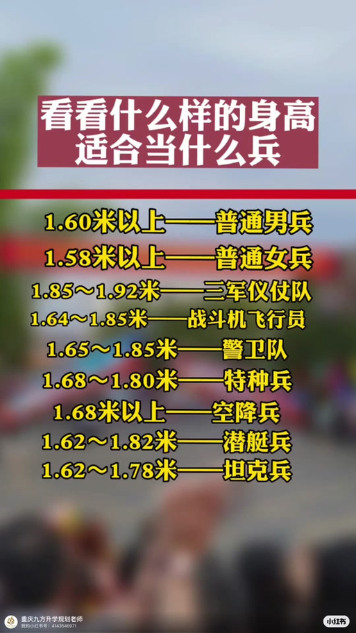 儀仗兵身高標(biāo)準(zhǔn)，探究與解析，儀仗兵身高標(biāo)準(zhǔn)，探究與詳解