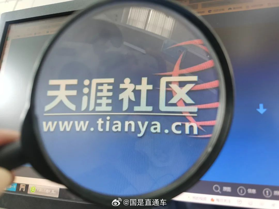 天涯國際觀察，全球視野下的深度分析與洞察，全球深度洞察，天涯國際觀察分析
