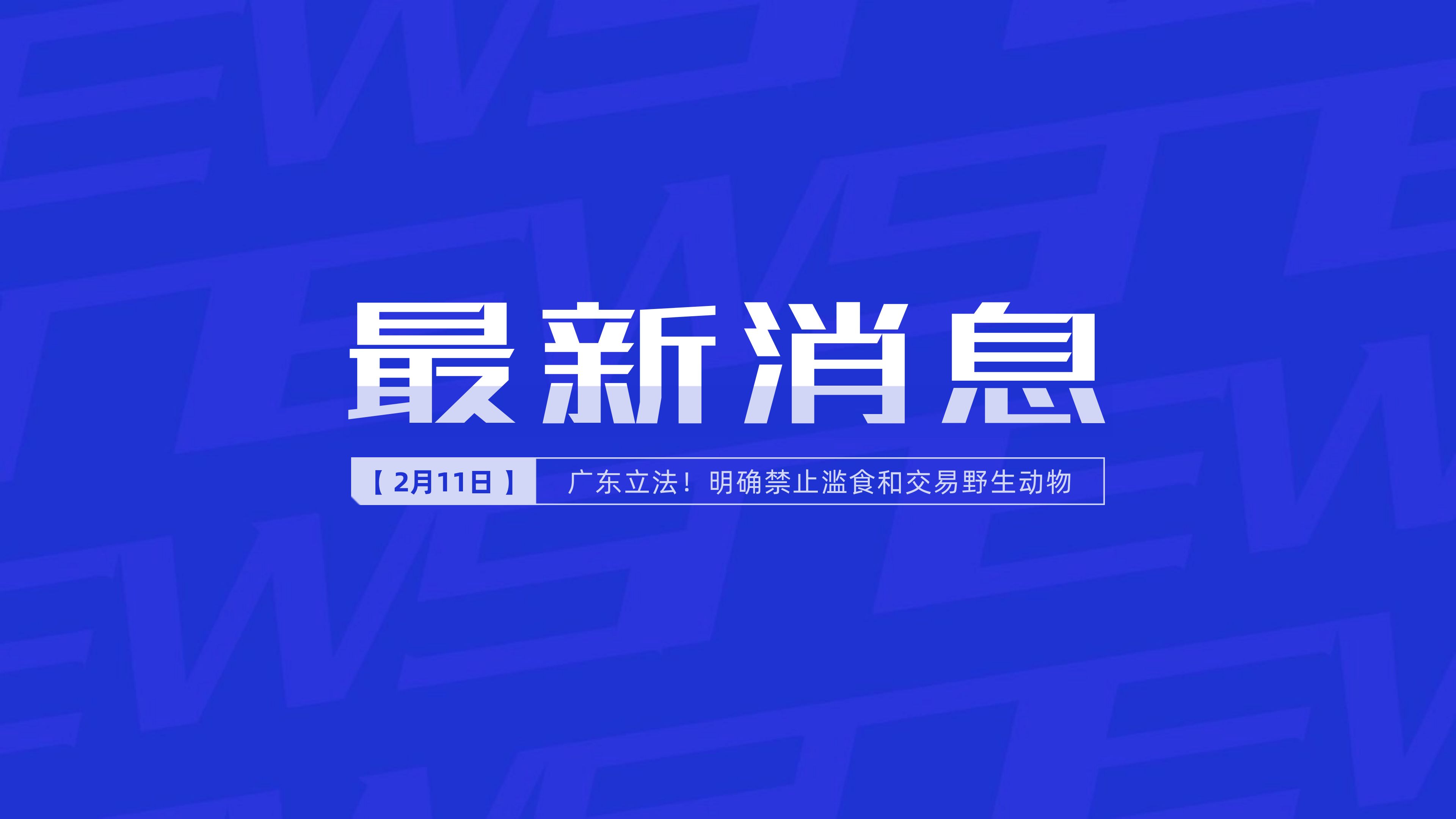 新聞最新新聞，掌握時事熱點，洞悉世界動態(tài)，時事熱點速遞，掌握全球最新動態(tài)新聞