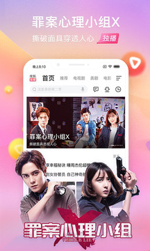 搜狐視頻，引領(lǐng)在線視頻新時代的先鋒力量，搜狐視頻，在線視頻新時代的先鋒領(lǐng)航者