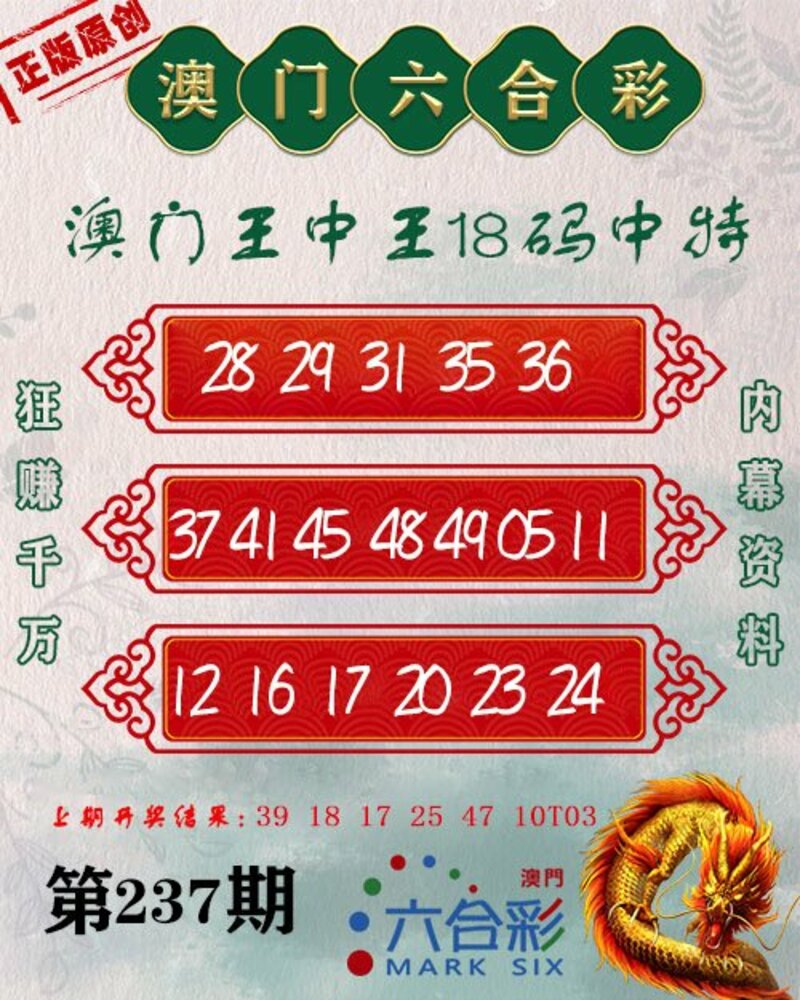 新澳門王中王期期中，探索與解析，新澳門王中王期期中，深度探索與解析