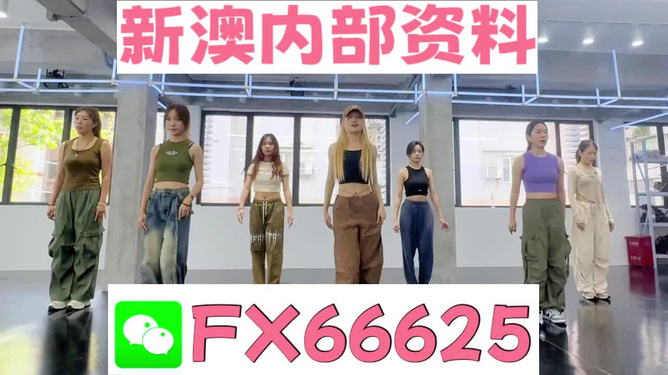 新澳持碼會(huì)資料詳解，新澳持碼會(huì)資料全面解析