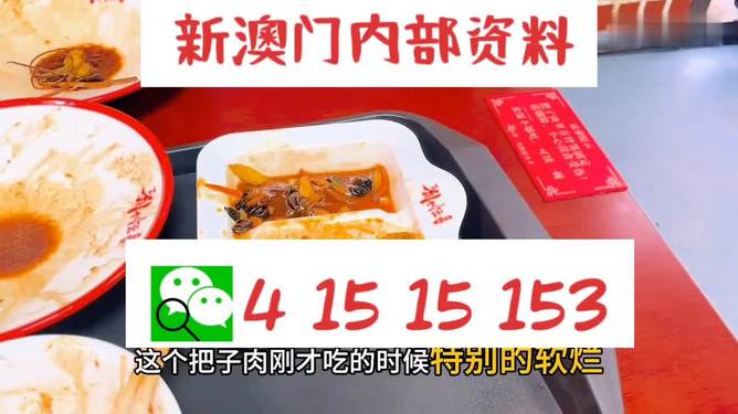 澳門王中王六碼新澳門，探索與解析，澳門王中王六碼新澳門，深度探索與解析