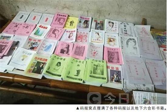 揭秘六肖期期中特期期期準(zhǔn)的奧秘，全面解析與策略分享，揭秘六肖期期中的奧秘，全面解析與策略分享