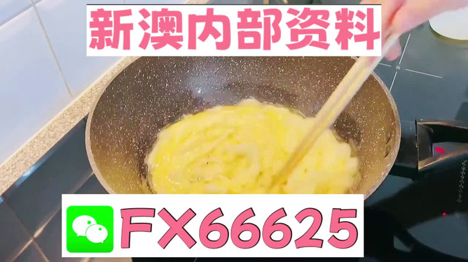 澳門九點(diǎn)半9點(diǎn)半網(wǎng)站——探索與體驗(yàn)，澳門九點(diǎn)半網(wǎng)站，探索與體驗(yàn)之旅