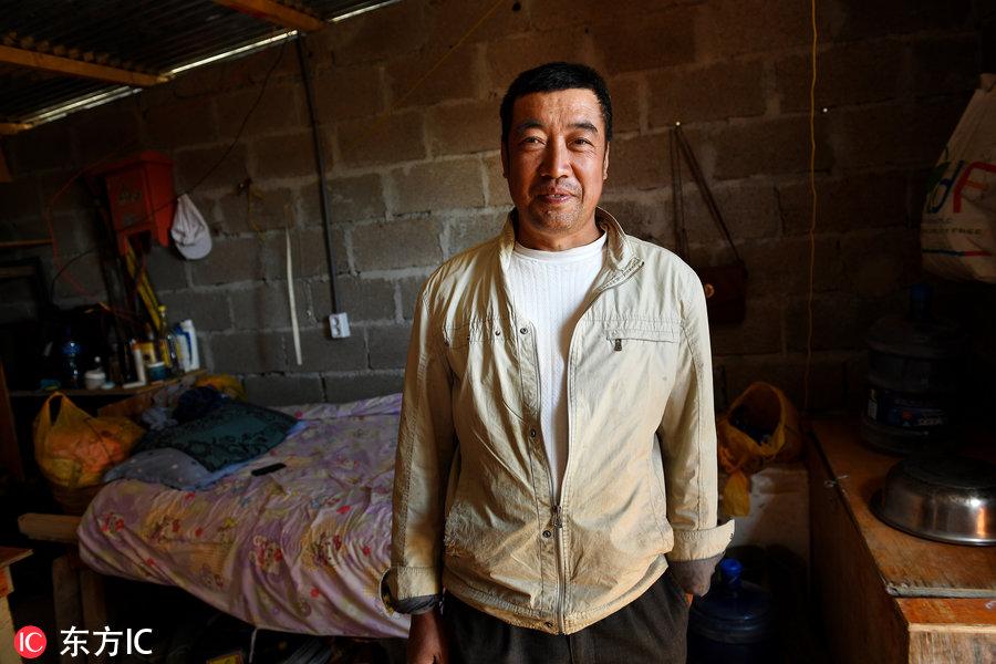 博科圣地組織，深度解析與理解，博科圣地組織深度解析與探究