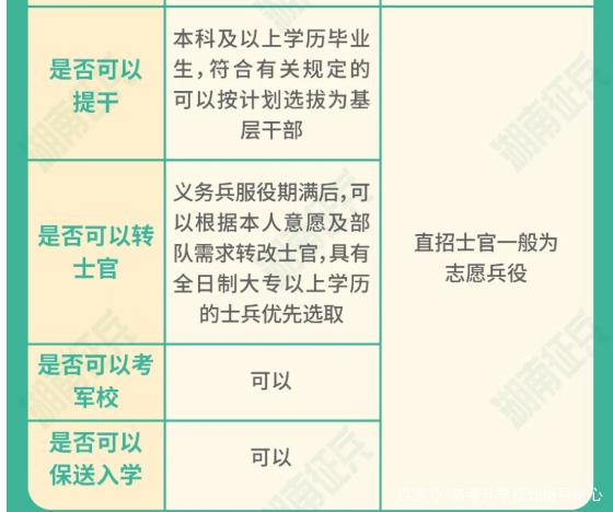 士官直招與義務兵的區(qū)別，深入了解軍隊招募制度，直招士官與義務兵招募制度深度解析，軍隊招募制度詳解