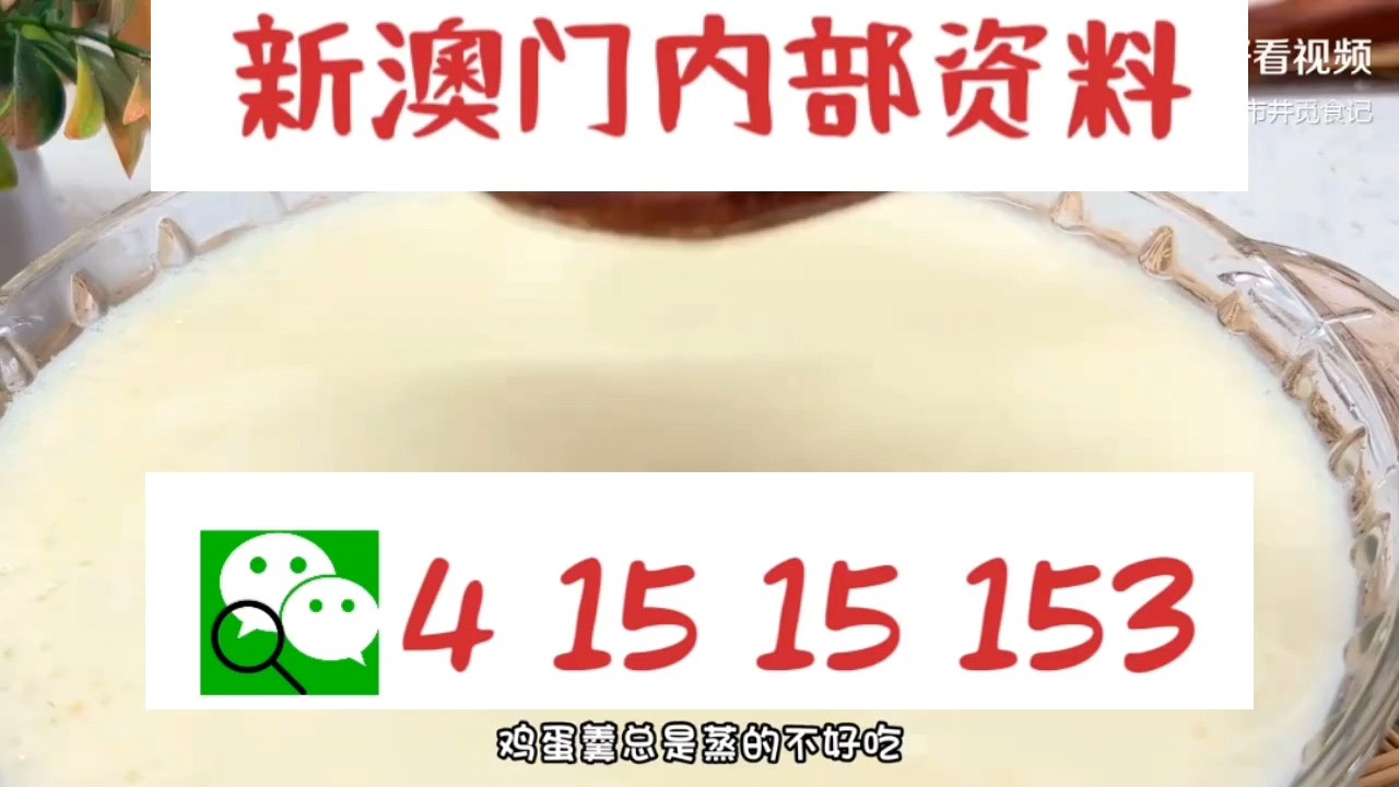新澳門(mén)中特網(wǎng)中特馬，探索與解析，澳門(mén)中特馬探索與解析指南