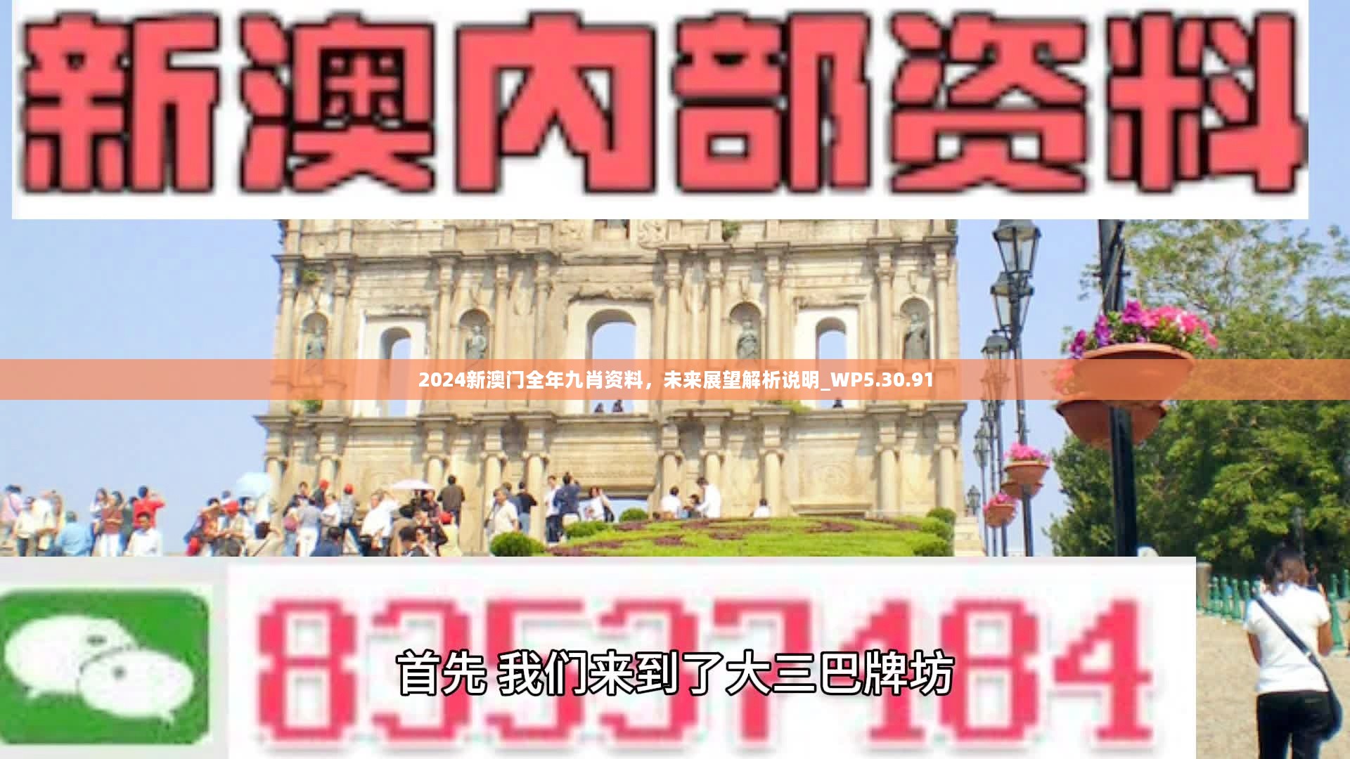 新澳門精準(zhǔn)九肖，揭秘預(yù)測技巧與策略，揭秘新澳門精準(zhǔn)九肖預(yù)測技巧與策略