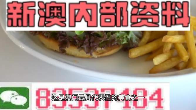 新澳2024生肖最新資料解析與預(yù)測，新澳2024生肖解析與預(yù)測報(bào)告