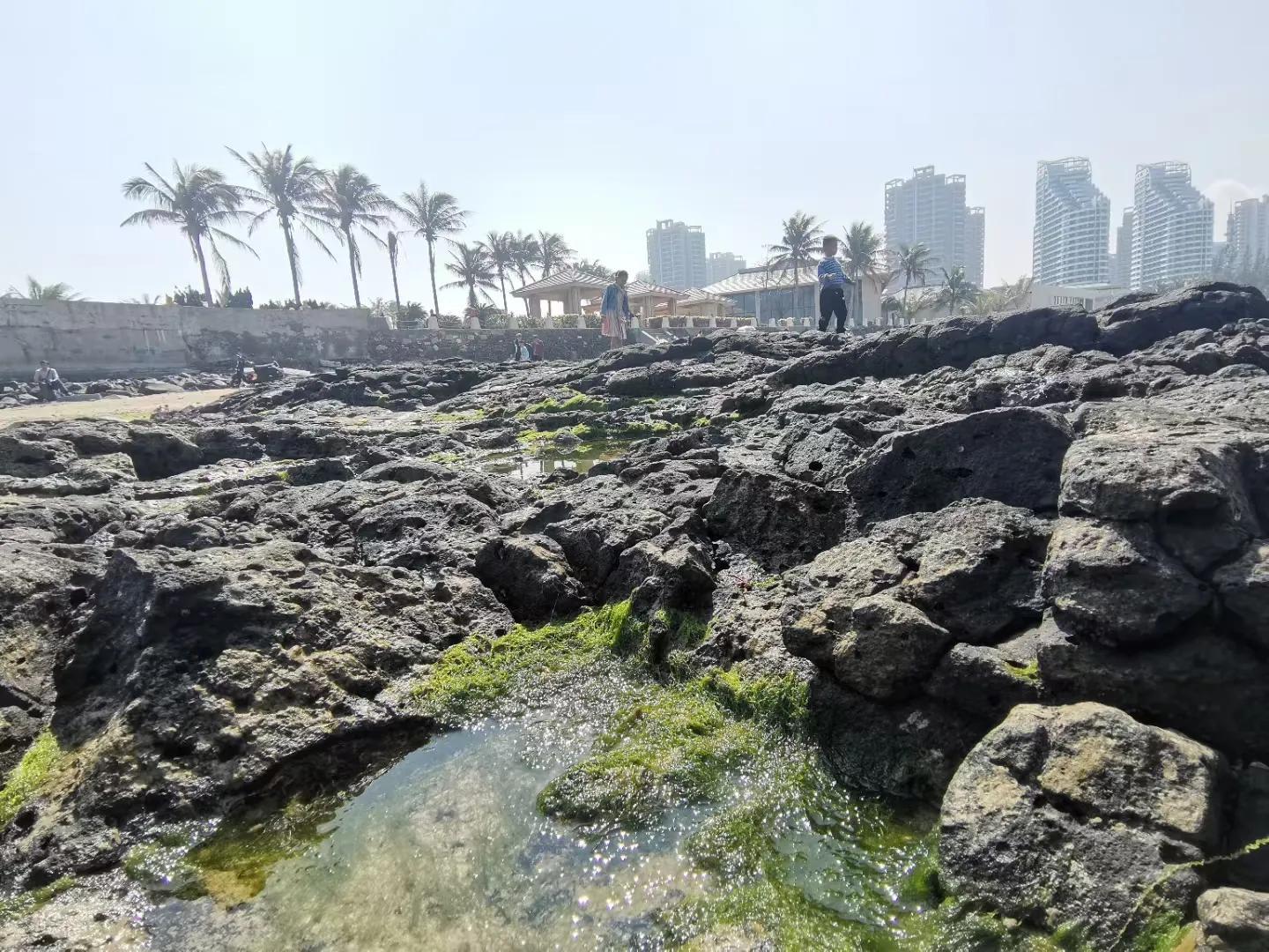 解放海南島電視劇全集下載，探尋30集完整劇情，解放海南島電視劇全集下載，探尋完整的30集劇情探索