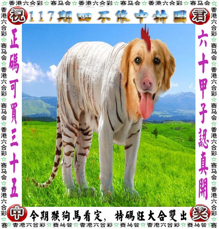 王中王四不像一肖論壇，探索神秘論壇的世界，王中王四不像一肖論壇，神秘論壇世界的探索之旅