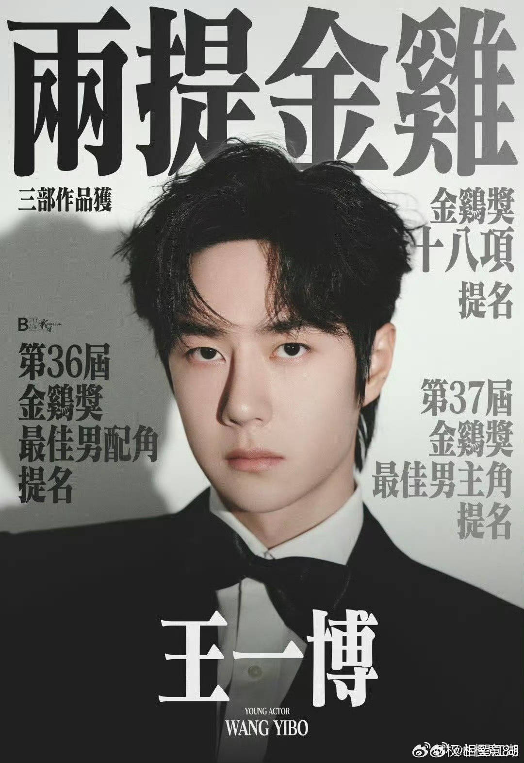 王中王一肖中特論特，深度解析與SEO洞察，深度解析王中王一肖中特論特與SEO洞察
