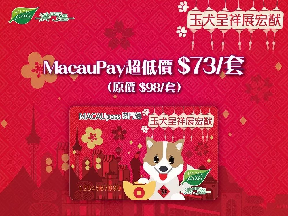 澳門生肖卡，探索未來的趨勢與機遇（2025年展望），澳門生肖卡，未來趨勢與機遇展望（2025年）