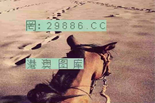 香港特馬資料王中王24期，深度解析與探索，香港特馬資料王中王深度解析與探索，第24期探索之旅
