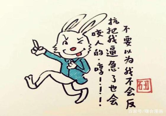 一肖不中賠多少倍，深度解析與策略建議，一肖不中賠倍深度解析及策略建議