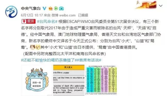 新澳門(mén)必中三肖三碼三期必開(kāi)劉伯，揭秘彩票背后的秘密與策略，揭秘彩票背后的秘密與策略，劉伯的新澳門(mén)三期必開(kāi)三肖三碼預(yù)測(cè)技巧
