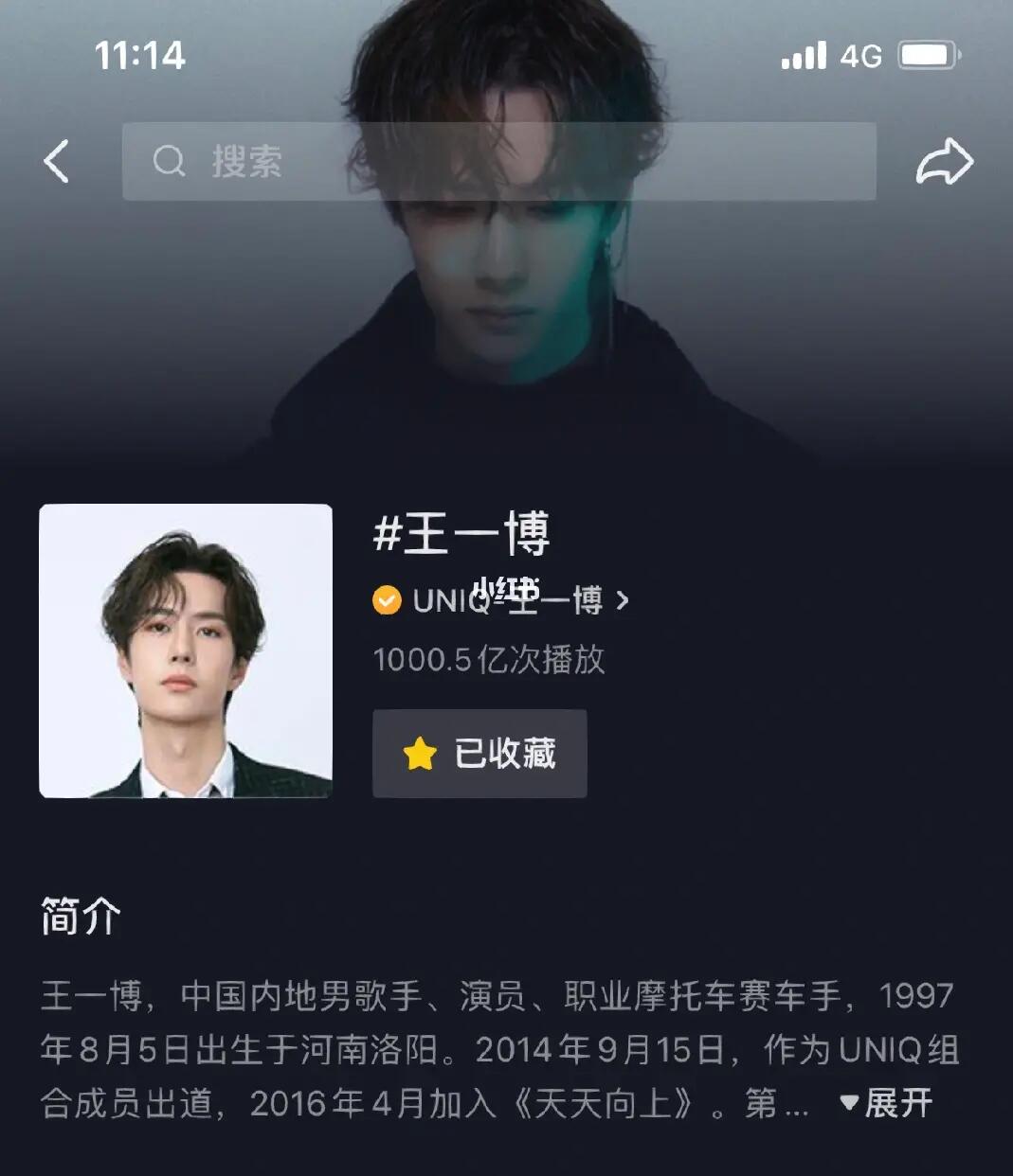 王中王一肖內(nèi)部資料詳解，王中王一肖內(nèi)部資料深度解析
