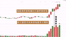 王中王一肖平碼，揭秘背后的故事與SEO策略，王中王一肖平碼背后的故事與SEO策略揭秘