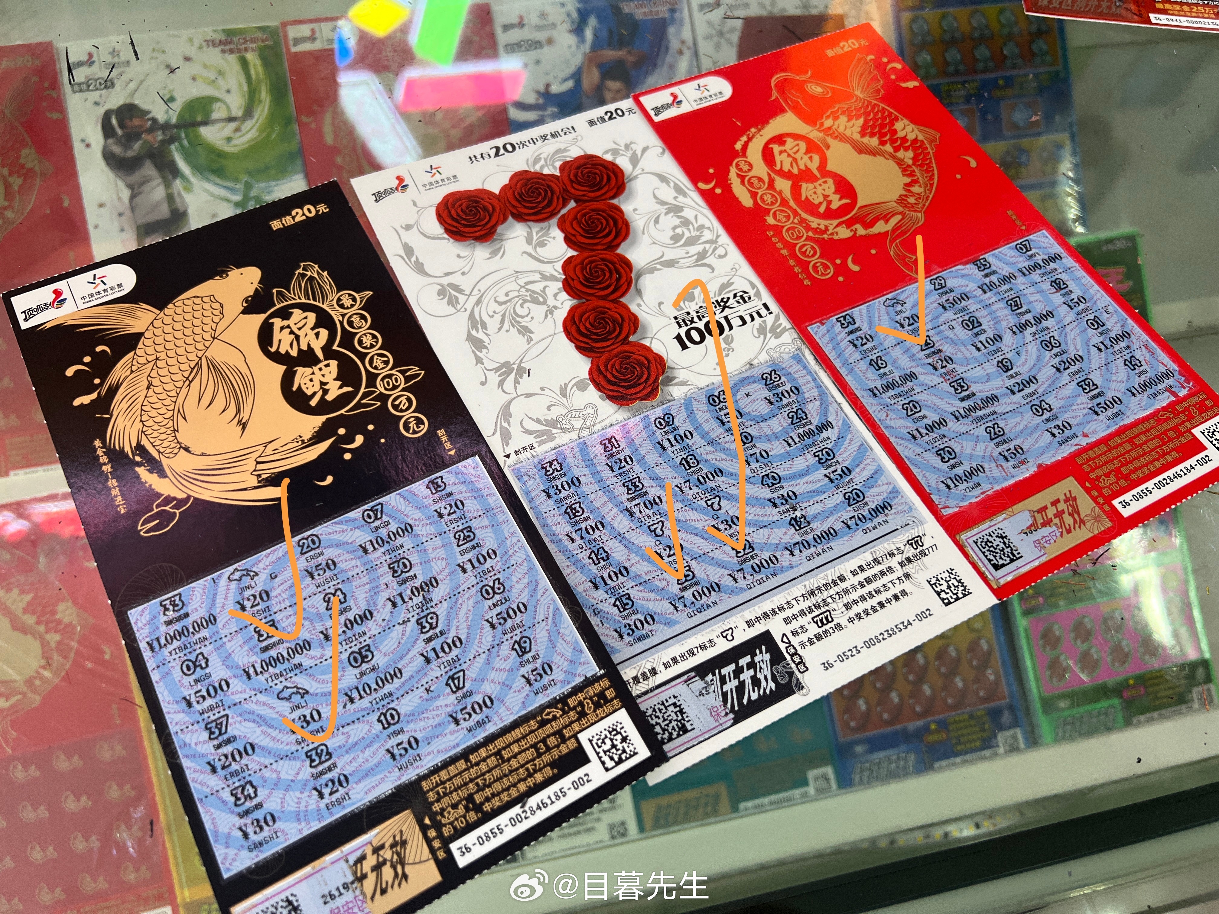 全年王中王一肖中特，深度解析與預(yù)測(cè)，全年王中王一肖深度解析與預(yù)測(cè)，揭秘特肖趨勢(shì)