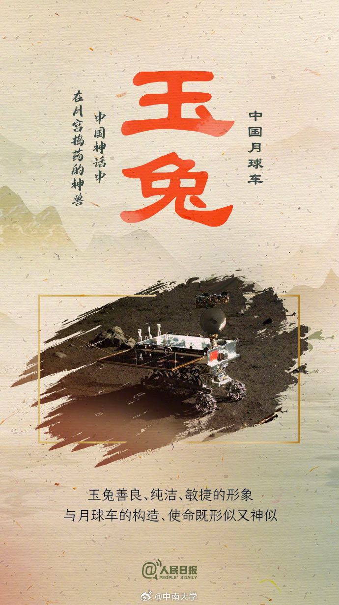 揭秘王中王平特一肖免會公開的奧秘，王中王平特一肖免公開揭秘奧秘