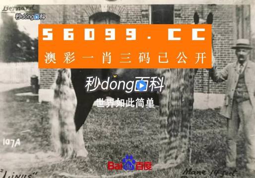 澳門王中王心水王中王，探索與解析，澳門王中王心水奧秘，深度探索與解析