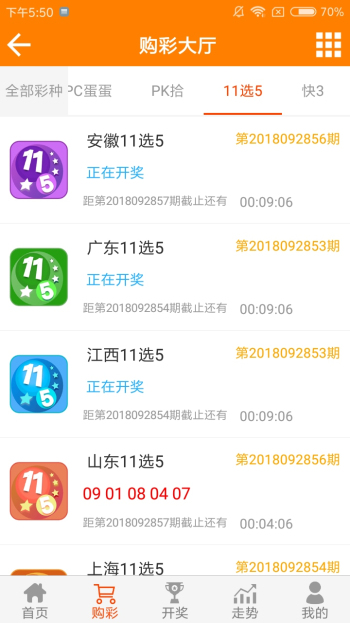 王中王黃金一肖二碼資料，深度解析與SEO優(yōu)化，王中王黃金一肖二碼資料深度解析與SEO優(yōu)化技巧