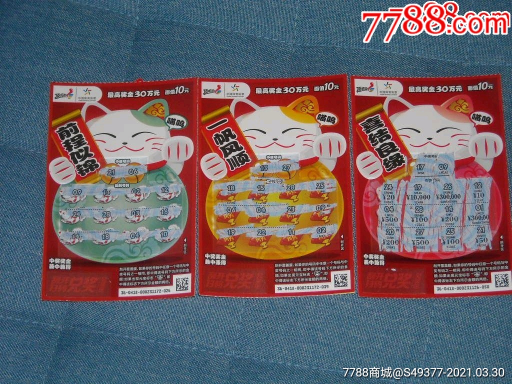 揭秘王中王資料一肖中特y招財貓，真相與秘密，揭秘王中王資料與招財貓，真相與秘密探索
