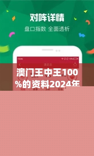 王中王網(wǎng)站一肖，探索與SEO優(yōu)化策略，王中王網(wǎng)站一肖，深度探索與SEO優(yōu)化策略實(shí)踐