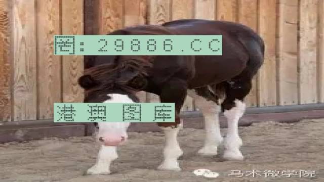 揭秘446999一肖中特馬之秘密，掌握中獎(jiǎng)玄機(jī)！，揭秘特馬中獎(jiǎng)玄機(jī)，446999一肖中的秘密大揭秘！